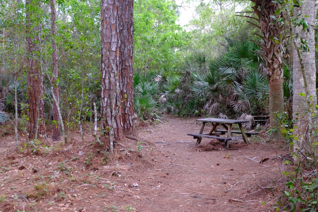 trail1 picnic table