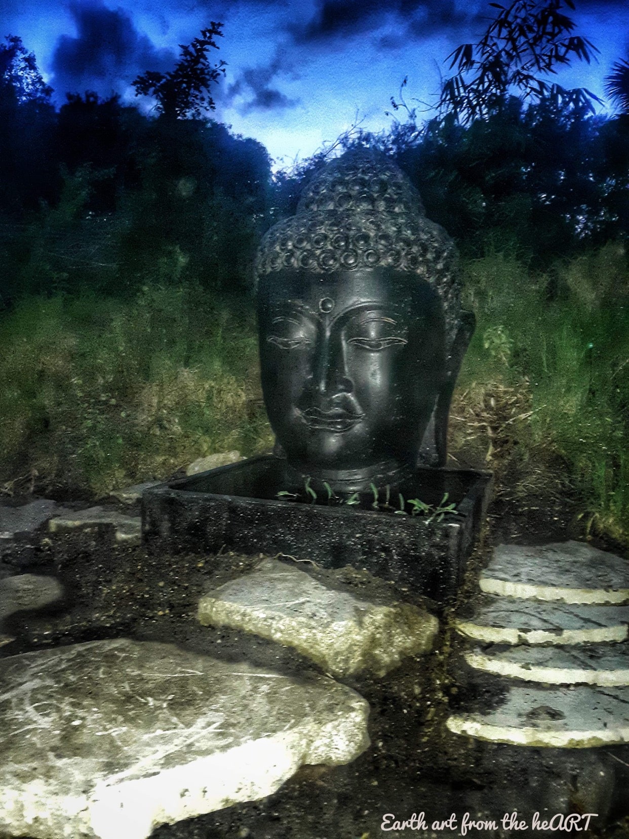 Sunsport Buddha Head